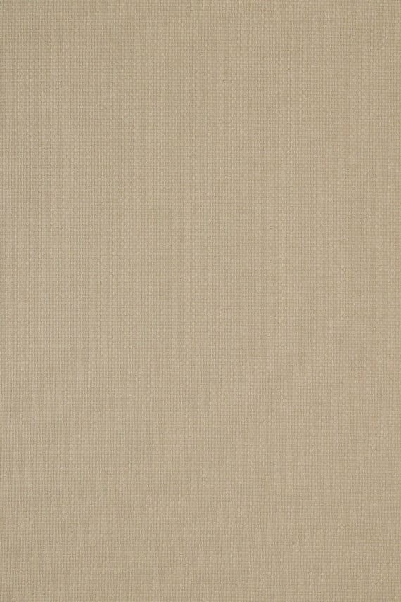 REED beige